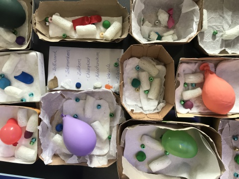 Modelle pflanzlicher Zellen 